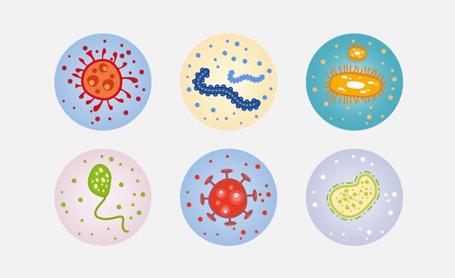 细菌素材显微镜放大的细菌病毒素材