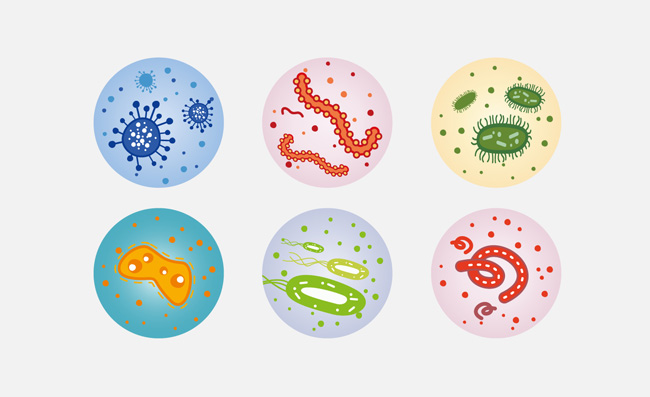细菌图标素材显微镜下面的细菌病毒素材