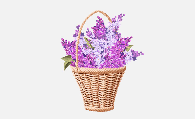 卡通手绘装满紫丁香的花篮矢量素材