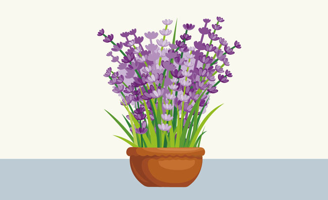 卡通紫色薰衣草植物元素