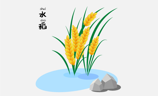 可爱矢量水稻稻子卡通插画