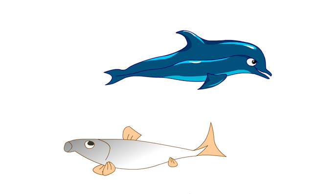 海豚及海鱼张嘴游动的动画an动漫模板素材