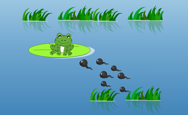 小蝌蚪和青蛙的故事卡通动漫短片模板