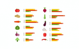 矢量蔬菜素材图表信息图