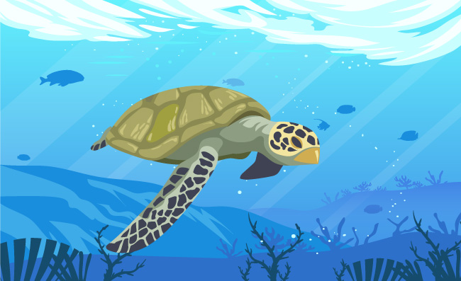 大海龟畅游海底风景鱼类动物矢量素材