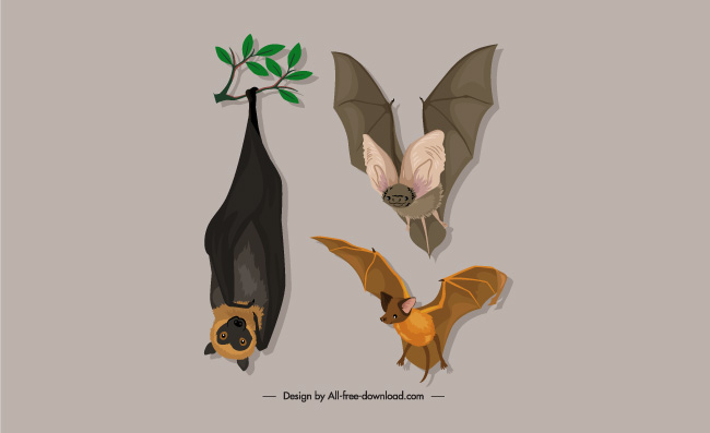 动物蝙蝠卡通素材矢量