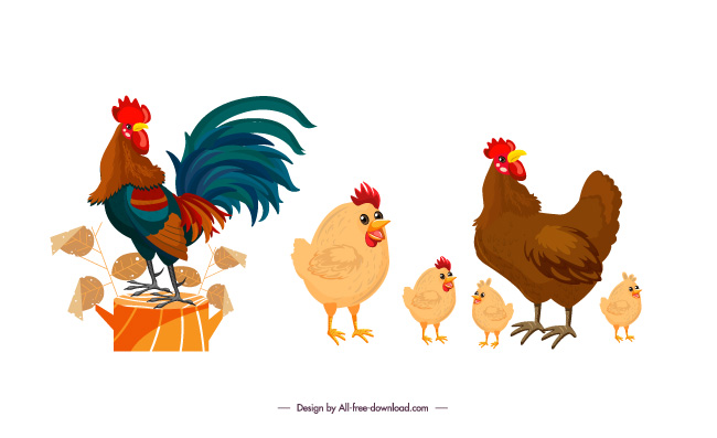 动物公鸡母鸡插画素材