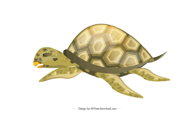 动物海龟矢量素材插画