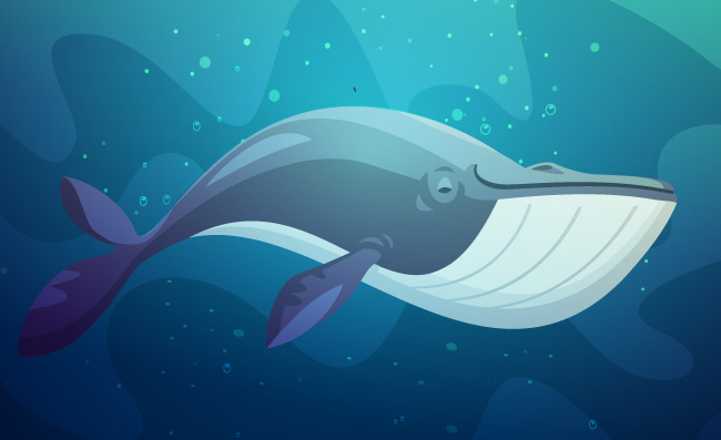 海底的大鲸鱼鱼类动物素材