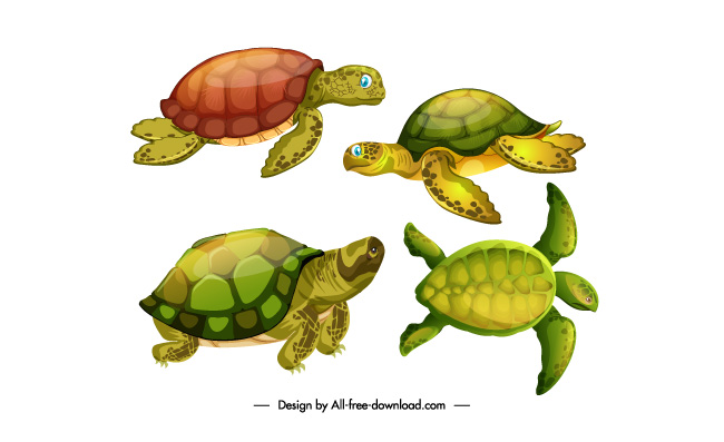 海龟乌龟动物矢量图片素材