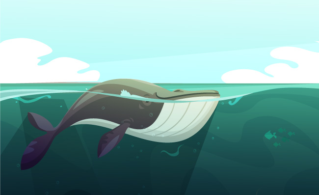 海洋卡通生物巨型鲸鱼矢量插图