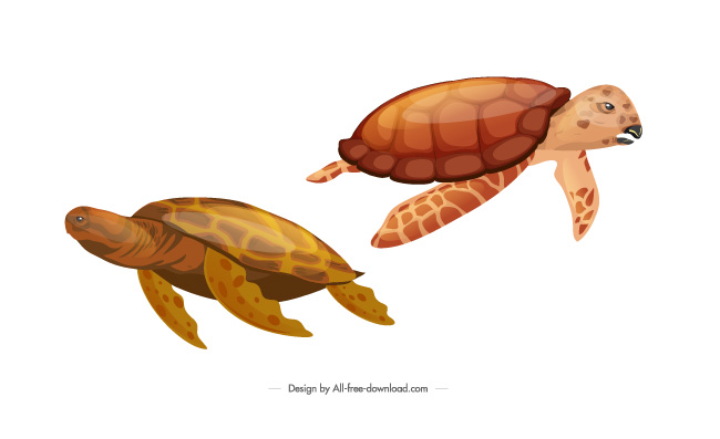 海洋里的海龟矢量素材插画