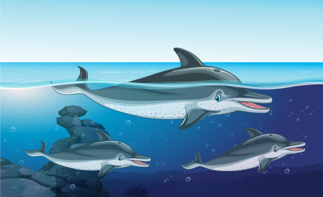 海洋里的海豚动物素材