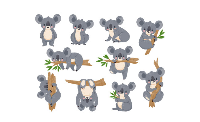 可爱懒惰的卡通考拉桉树雨林动物澳大利亚熊矢量图片
