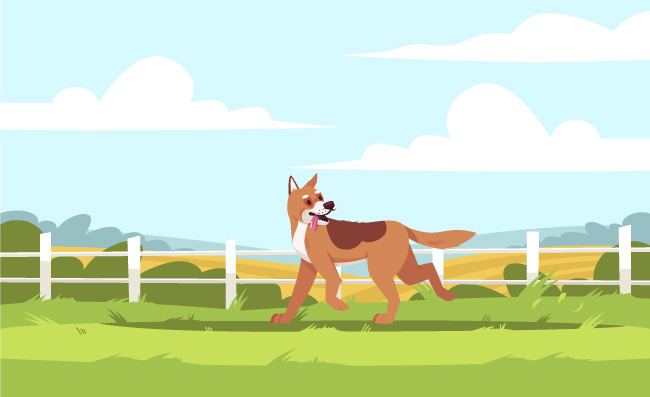 跑在田野上的狗狗动物素材插图