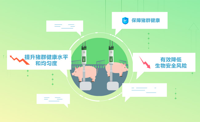 智能养猪保障提升猪健康管理系统MG动画素材