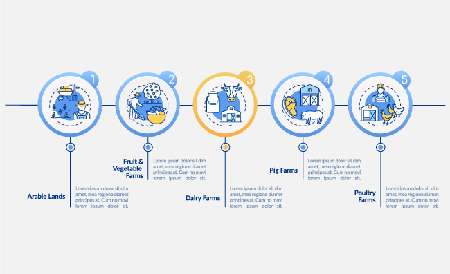 农场生产演示文稿包含5个步骤数据图表工作流程布局与线性图标矢量模板
