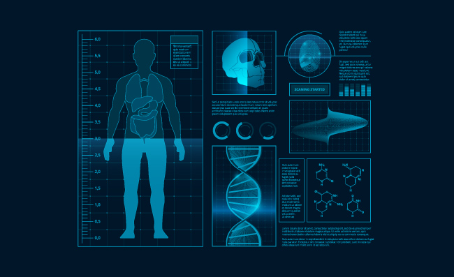 人体科技基因链指纹识别骨骼扫描蓝色科技信息图表矢量