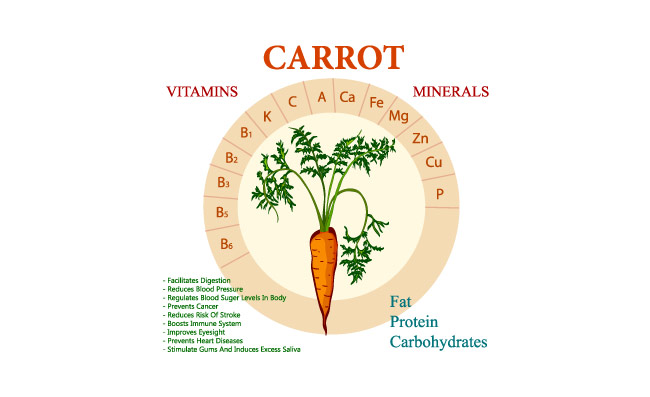 植物胡萝卜含量素材图表