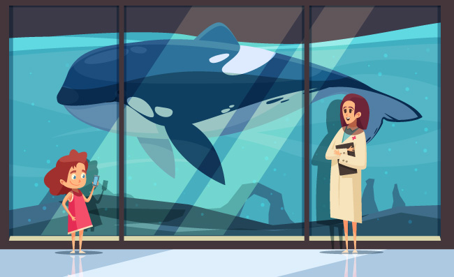 水族馆大鲸鱼观赏人物素材