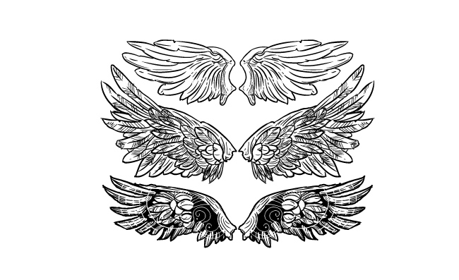 三款手绘精美翅膀图标元素素材