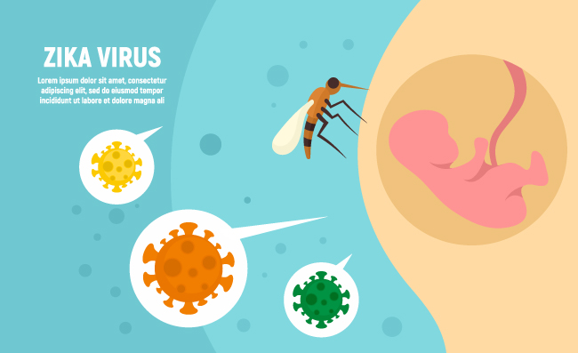 寨卡病毒蚊子传染病孕妇安全防蚊防病毒插图