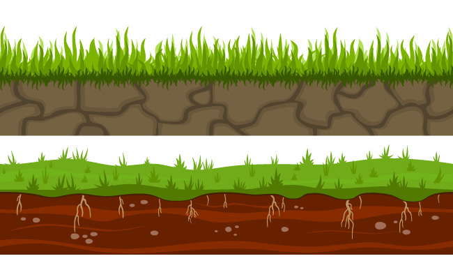 草坪剖面图土囊里的植物根系矢量素材