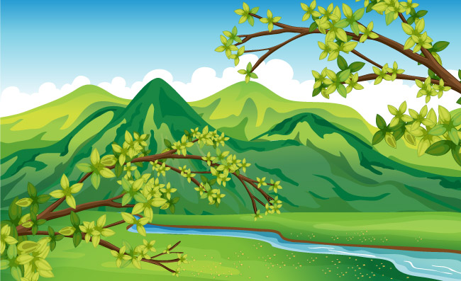 春天山里的树发新发自然景色插图
