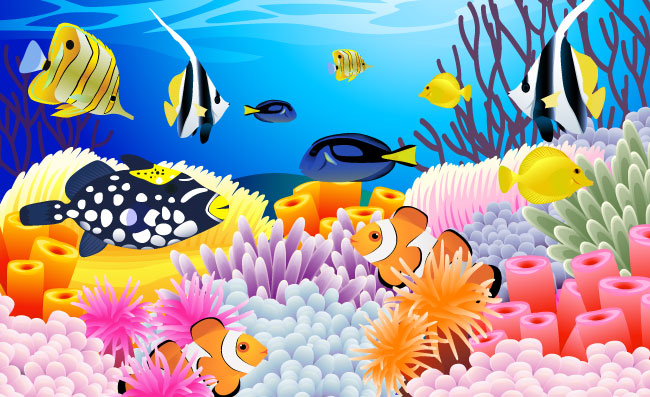海底珊瑚客运风景插图
