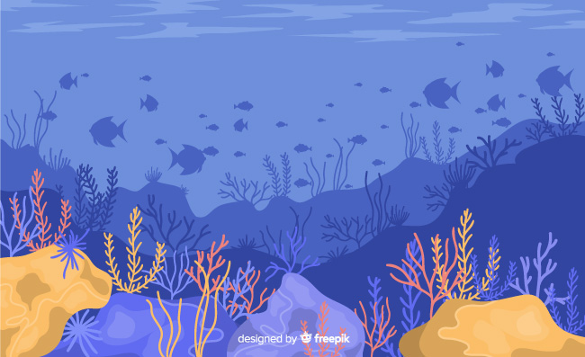 海底世界海草珊瑚风景矢量