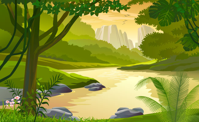 茂密的丛林河流景色