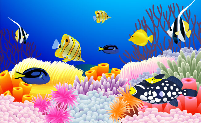 色彩艳丽的海底珊瑚景色
