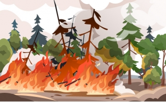 森林火灾火焰和烟自然灾