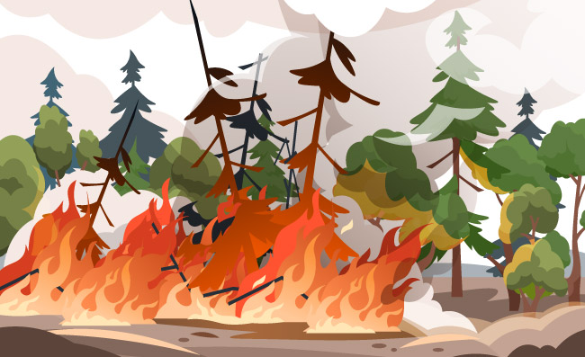 森林火灾火焰和烟自然灾害植物燃烧树林中灼烧的云杉橡树矢量插图
