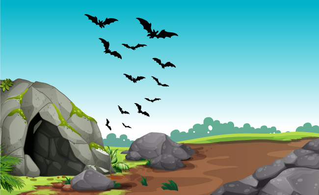 山洞飞出的蝙蝠插图