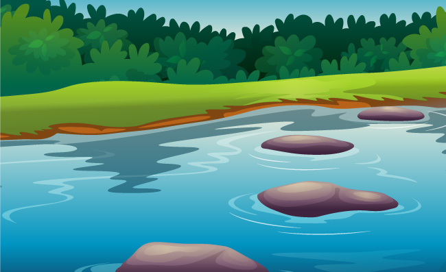 小池塘江边河流溪水植物自然风景插图