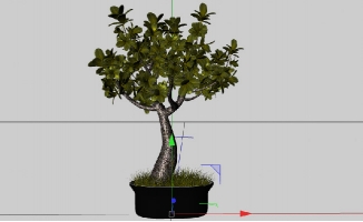 植物花卉盆景素材三维模型