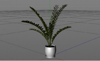 植物摆件装饰金钱树造型出C4D模型