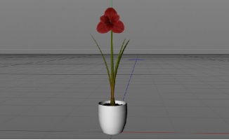 一朵红花装饰植物花卉三维模型