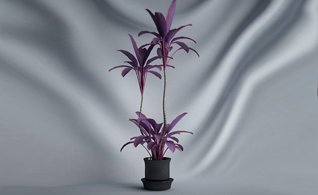 紫红色植物小盆景摆件三维模型