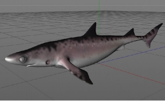鲨鱼三维模型海洋生物素