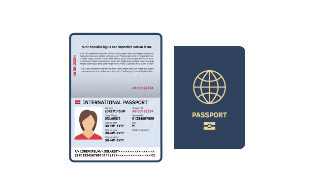 护照文件法律样品国际纸护照页矢量