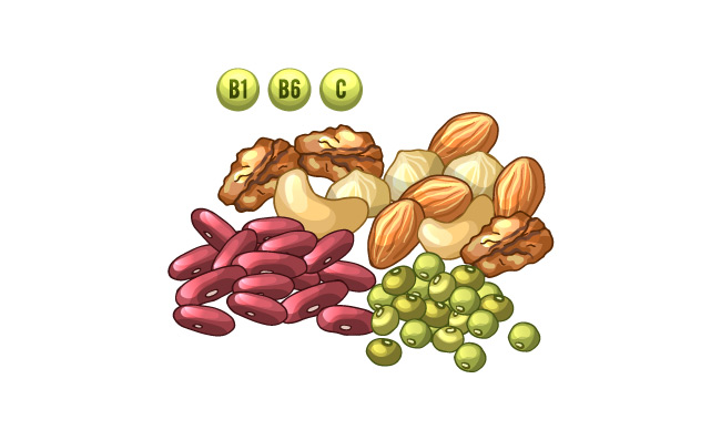 不同坚果包含不同维生素素材