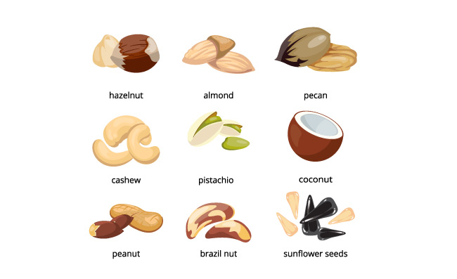 卡通坚果矢量核桃腰果开心果素食主义者食物坚果
