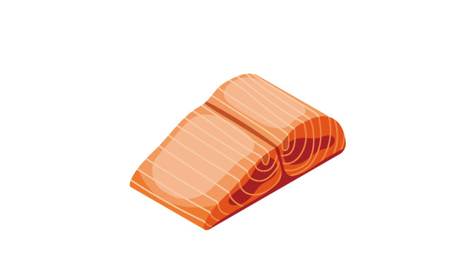 三文鱼肉手绘矢量图