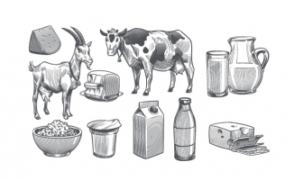 手工绘制的乳制品农场牛