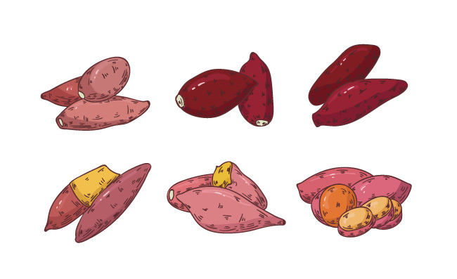 手绘红薯食物图片