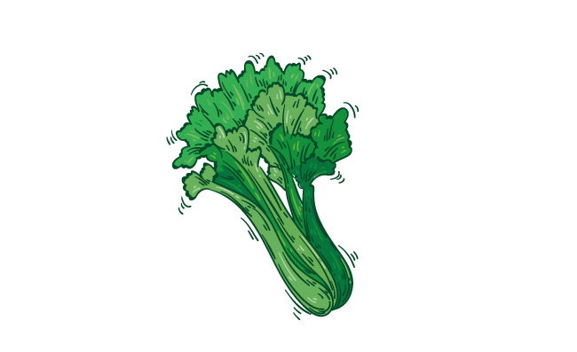 蔬菜手绘芹菜元素图片