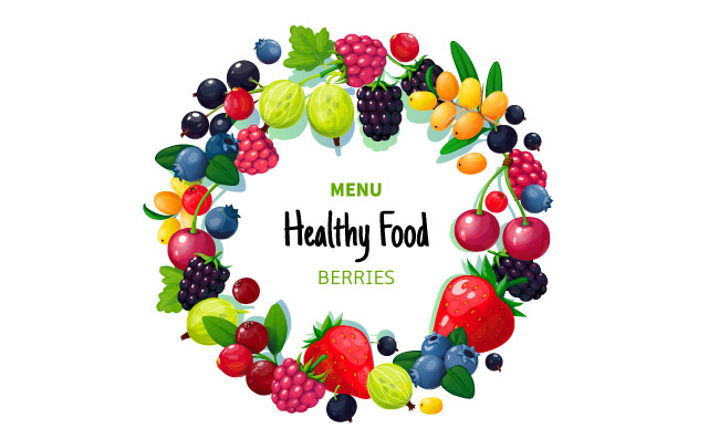 新鲜的有机水果草莓蓝莓醋栗黑莓健康食品矢量