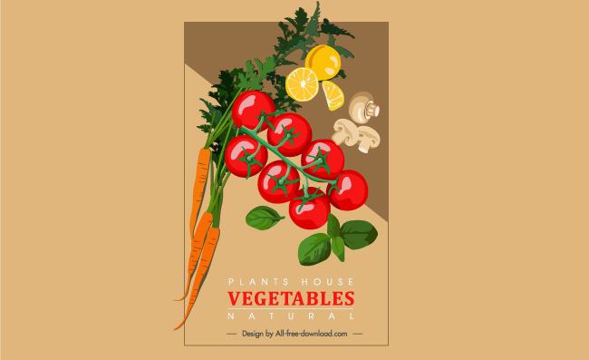 新鲜蔬菜番茄胡萝卜食材蔬菜